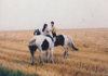 Dad and Me on Horses