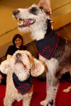 Lucian Dog Embroidered Neckerchief