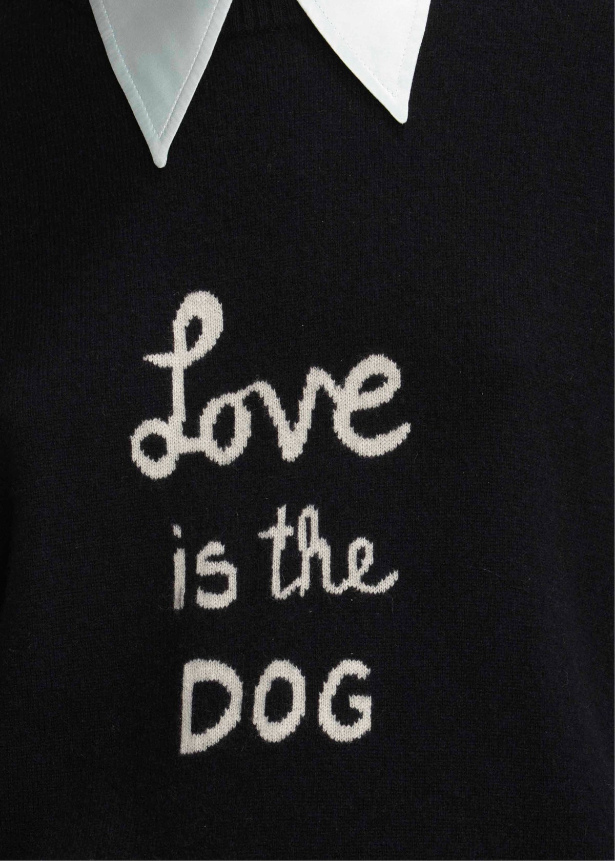 Love Is The Dog Jumper