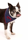 Lucian Dog Embroidered Neckerchief