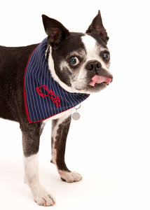 Lucian Dog Embroidered Neckerchief