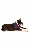 Lucian Dog Embroidered Neckerchief