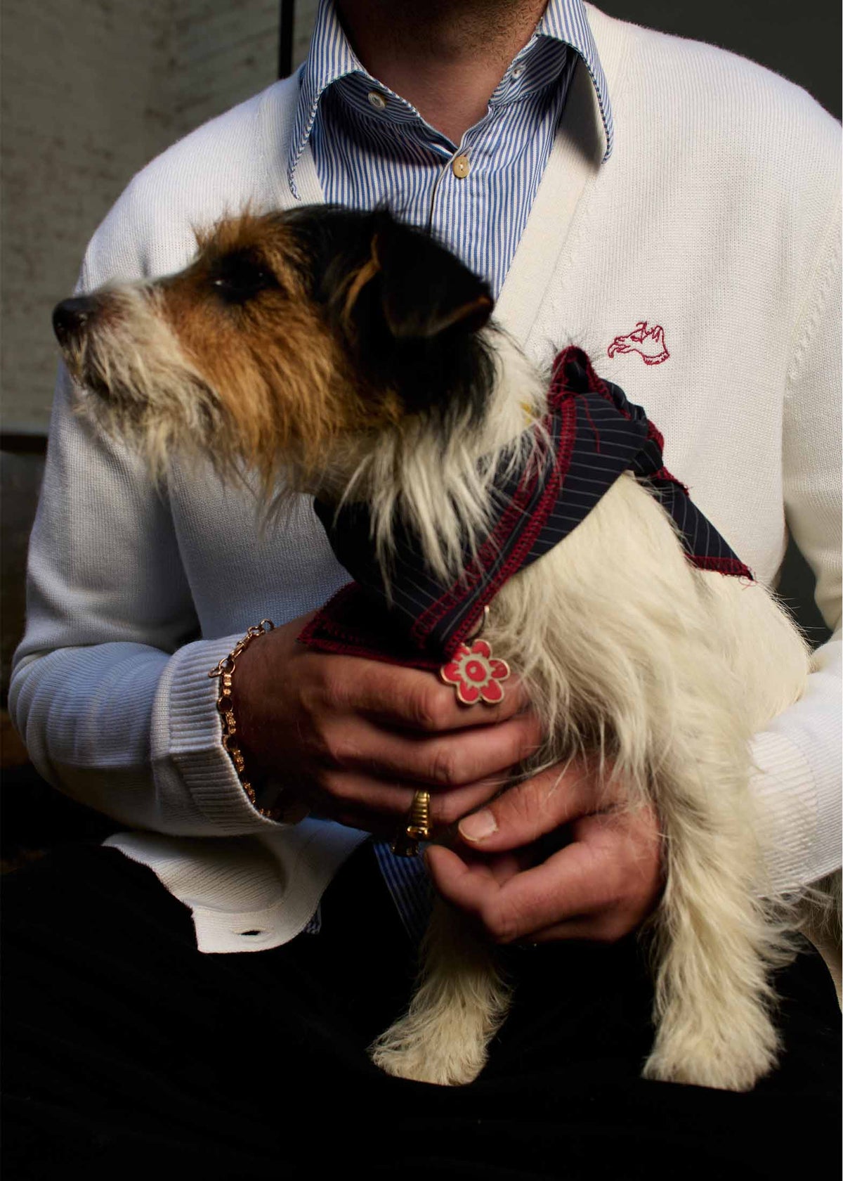Lucian Dog Embroidered Merino Cardigan